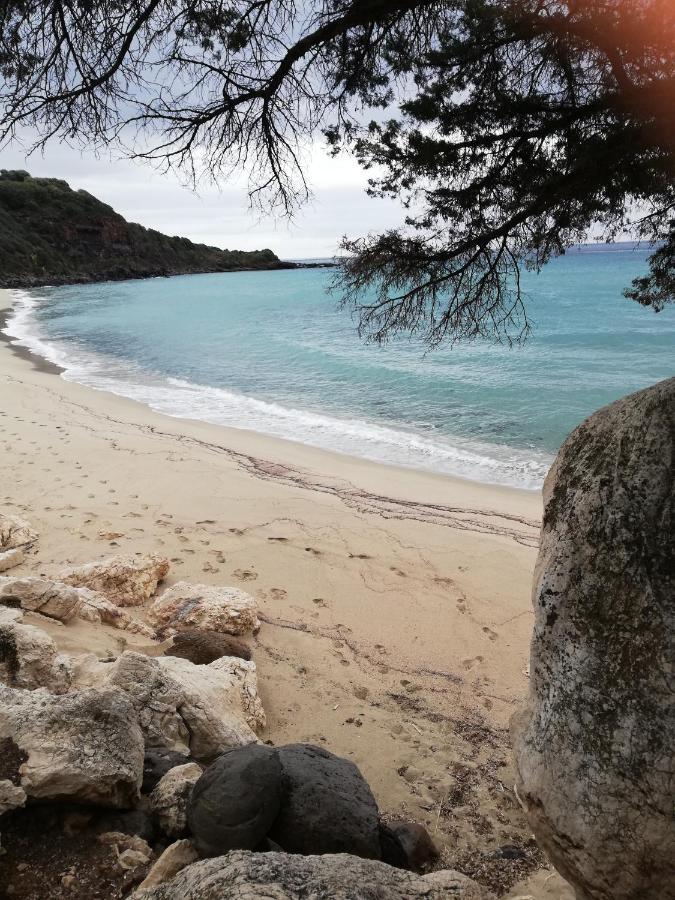 Appartamenti Le Conchiglie E Le Stelle Marine Cala Gonone Dış mekan fotoğraf