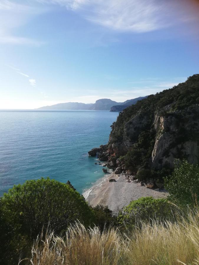 Appartamenti Le Conchiglie E Le Stelle Marine Cala Gonone Dış mekan fotoğraf