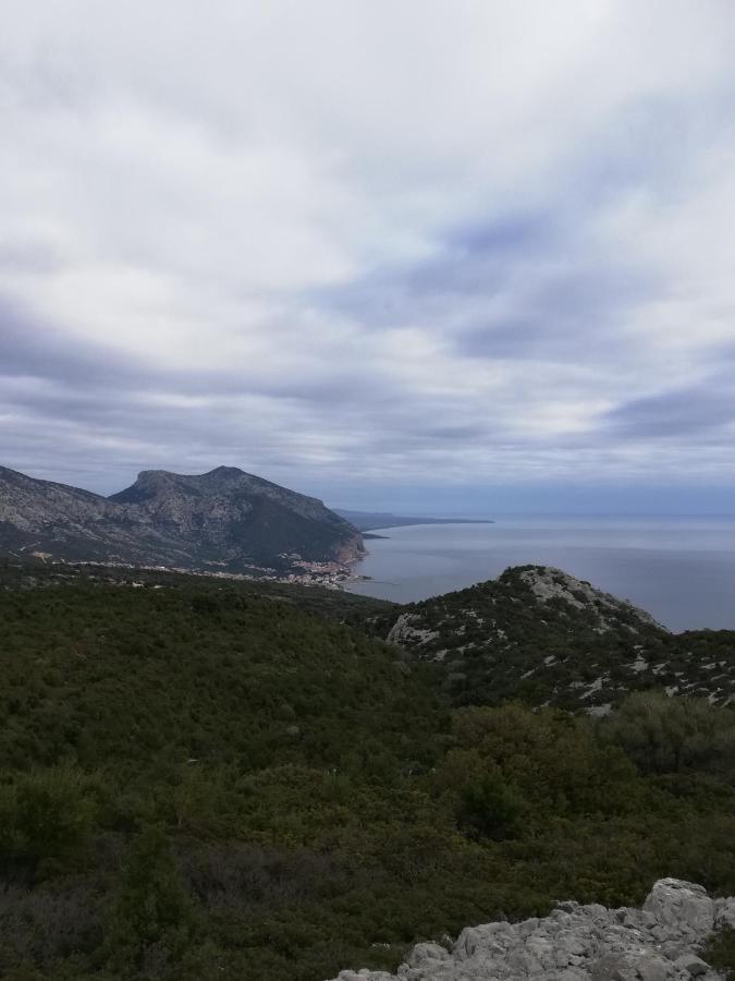 Appartamenti Le Conchiglie E Le Stelle Marine Cala Gonone Dış mekan fotoğraf