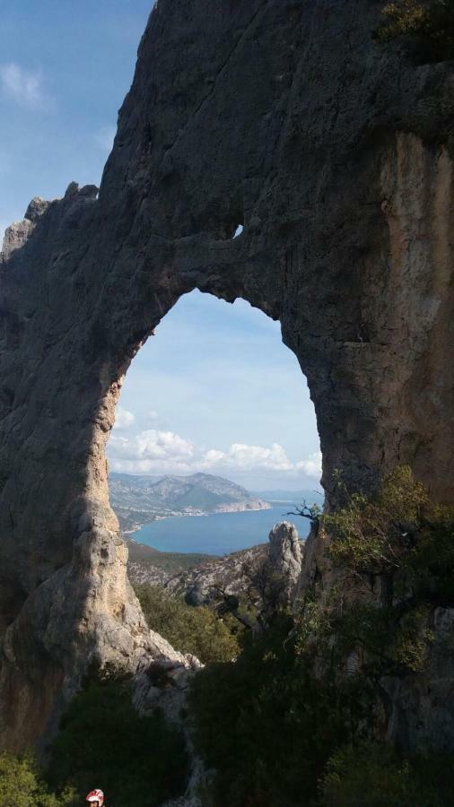 Appartamenti Le Conchiglie E Le Stelle Marine Cala Gonone Dış mekan fotoğraf